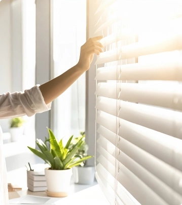 Le choix de l’habillage de la fenêtre
