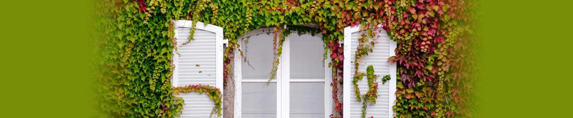 Pose volet sur-mesure en Savoie et Haute-Savoie